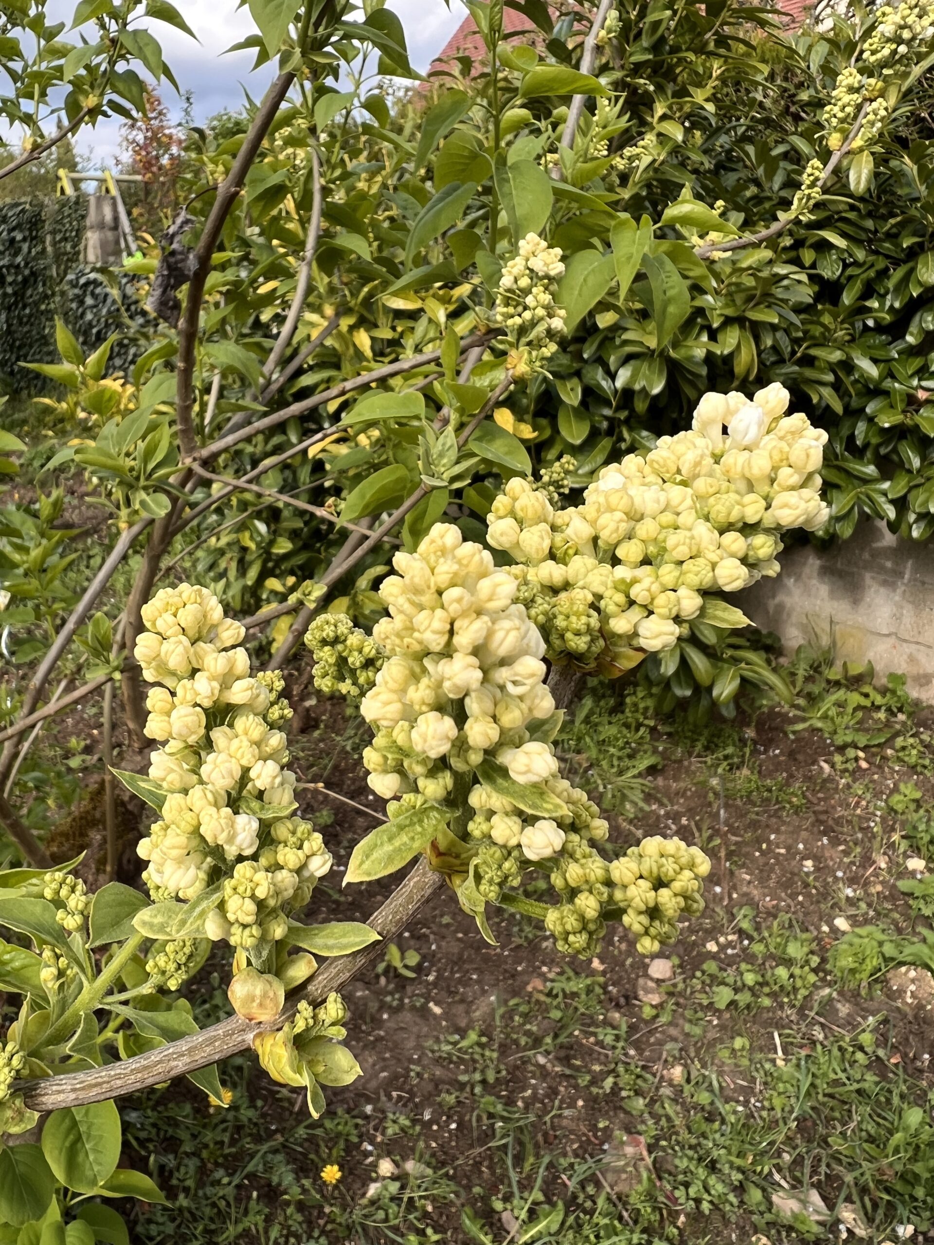 Télétravail workation Picardie